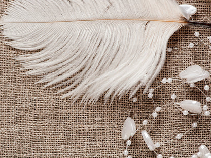 White Pack Off Small Ostrich Feathers for Wedding Backdrops & Arches