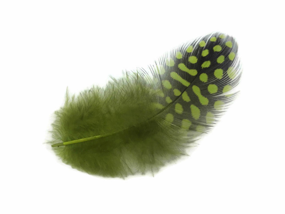A quarter pound - Green Olive Hen Plumage Accent Feathers for Wedding Backdrops & Arches