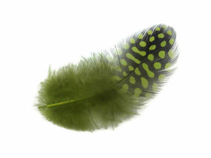 A quarter pound - Green Olive Hen Plumage Accent Feathers for Wedding Backdrops & Arches