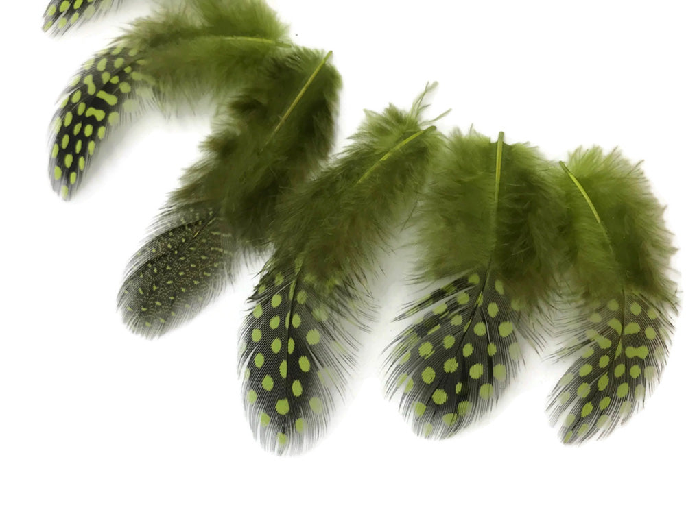 10 oz - Green Pack Olive Hen Accent Feathers for Wedding Centerpieces