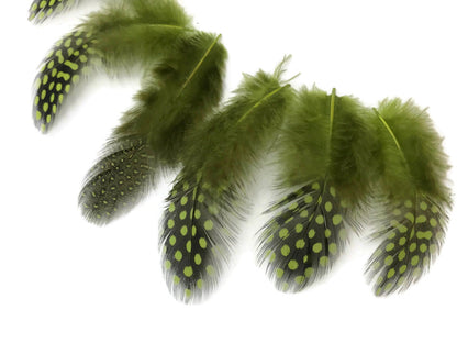 10 oz - Green Pack Olive Hen Accent Feathers for Wedding Centerpieces