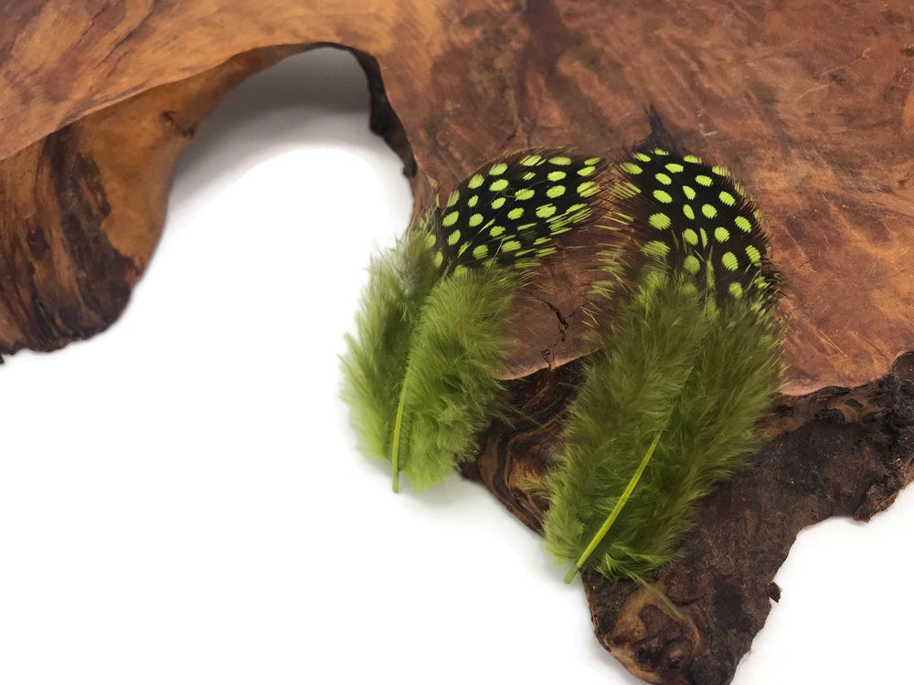 10 oz - Green Pack Olive Hen Accent Feathers for Wedding Centerpieces