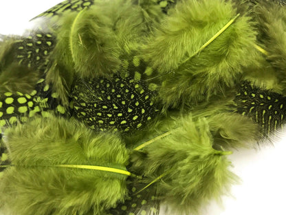 10 oz - Green Pack Olive Hen Accent Feathers for Wedding Centerpieces