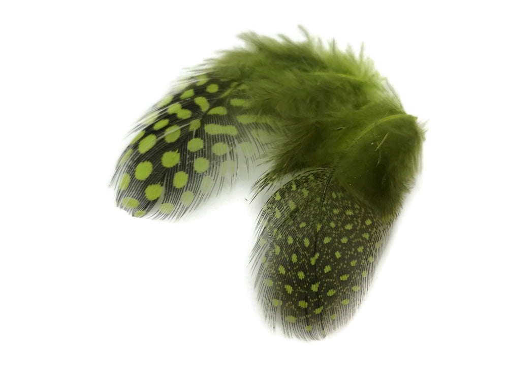 10 oz - Green Pack Olive Hen Accent Feathers for Wedding Centerpieces