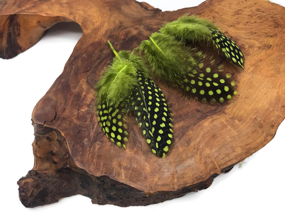 10 oz - Green Pack Olive Hen Accent Feathers for Wedding Centerpieces