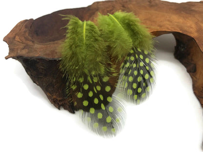 10 oz - Green Pack Olive Hen Accent Feathers for Wedding Centerpieces
