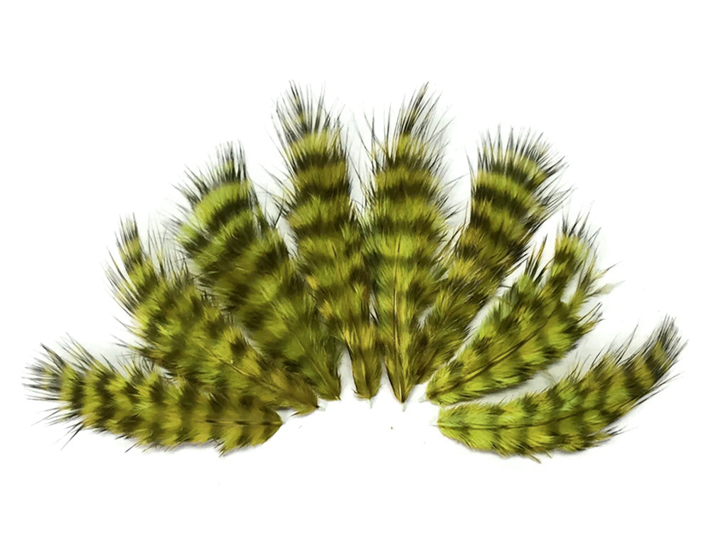 1 dozen - Grizzly Olive Green Mini Accent Feathers for Wedding Bridal Accessories
