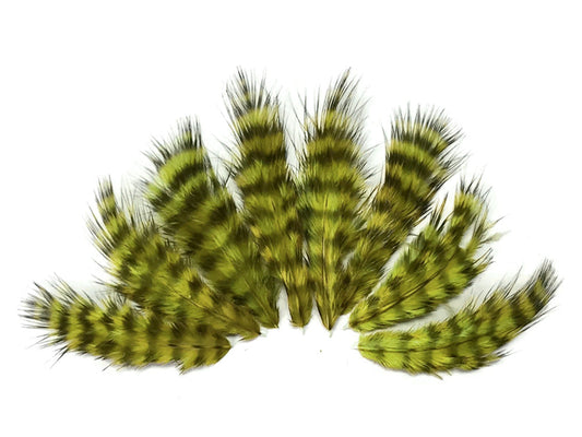 1 dozen - Grizzly Olive Green Mini Accent Feathers for Wedding Bridal Accessories