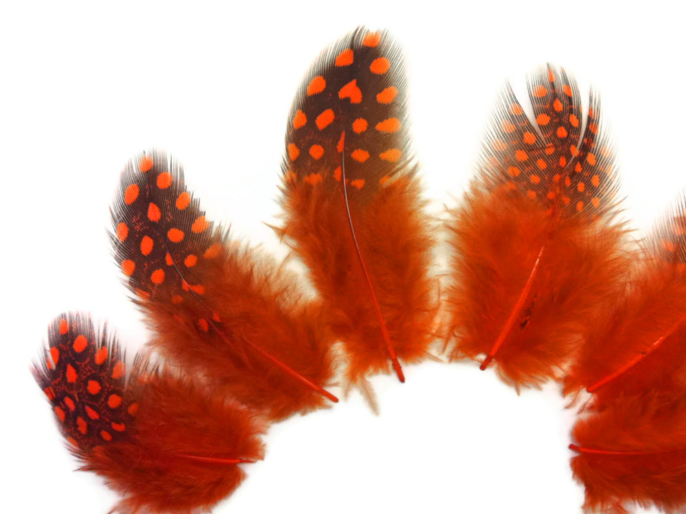10 oz - Orange Pack Hen Polka Accent Feathers for Wedding Centerpieces