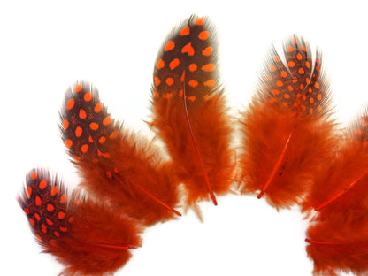 10 oz - Orange Pack Hen Polka Accent Feathers for Wedding Centerpieces