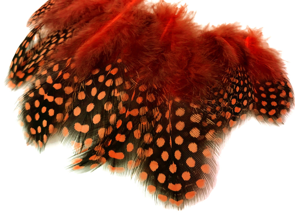 10 oz - Orange Pack Hen Polka Accent Feathers for Wedding Centerpieces