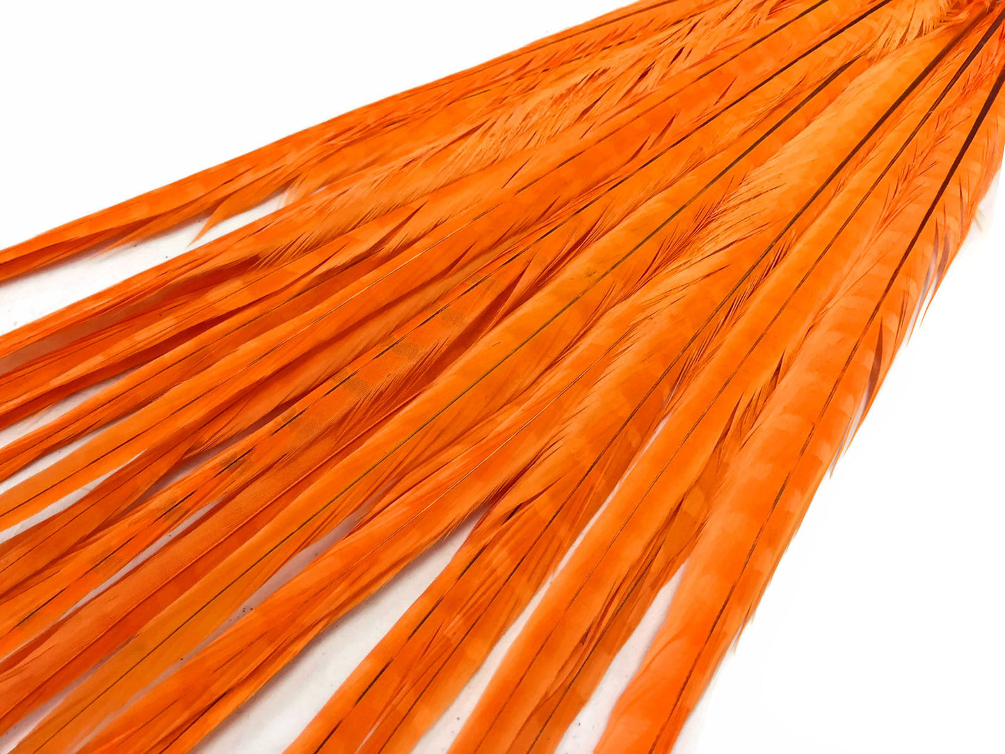10 pieces - 18-22" Orange Bleached Dyed Ringneck Accent Feathers for Wedding Centerpieces