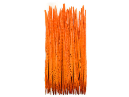 10 pieces - 18-22" Orange Bleached Dyed Ringneck Accent Feathers for Wedding Centerpieces
