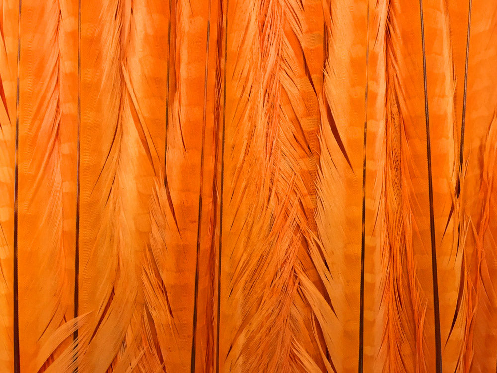 10 pieces - 18-22" Orange Bleached Dyed Ringneck Accent Feathers for Wedding Centerpieces