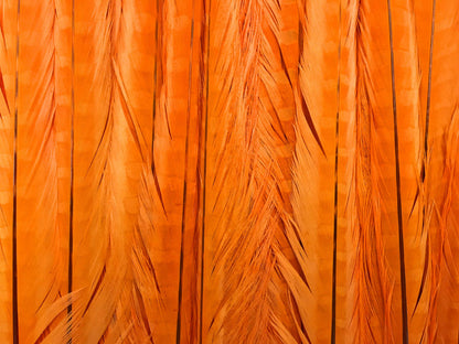 10 pieces - 18-22" Orange Bleached Dyed Ringneck Accent Feathers for Wedding Centerpieces