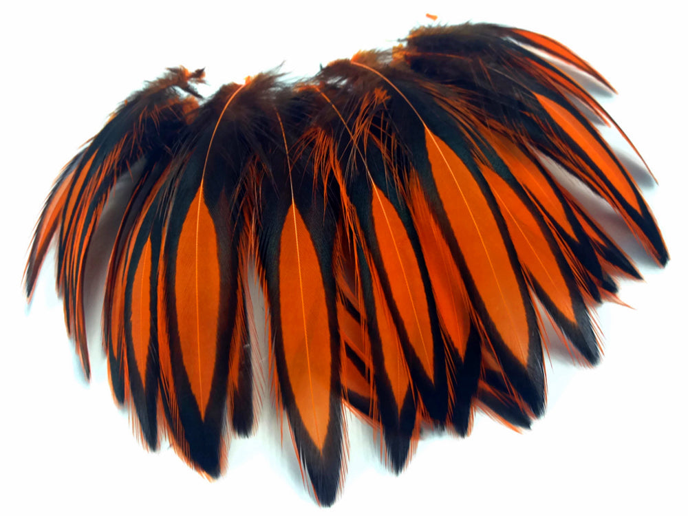 1 dozen - Orange Whiting Farms BLW Accent Feathers for Wedding Bouquets & Boutonnieres