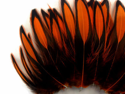 1 dozen - Orange Whiting Farms BLW Accent Feathers for Wedding Bouquets & Boutonnieres