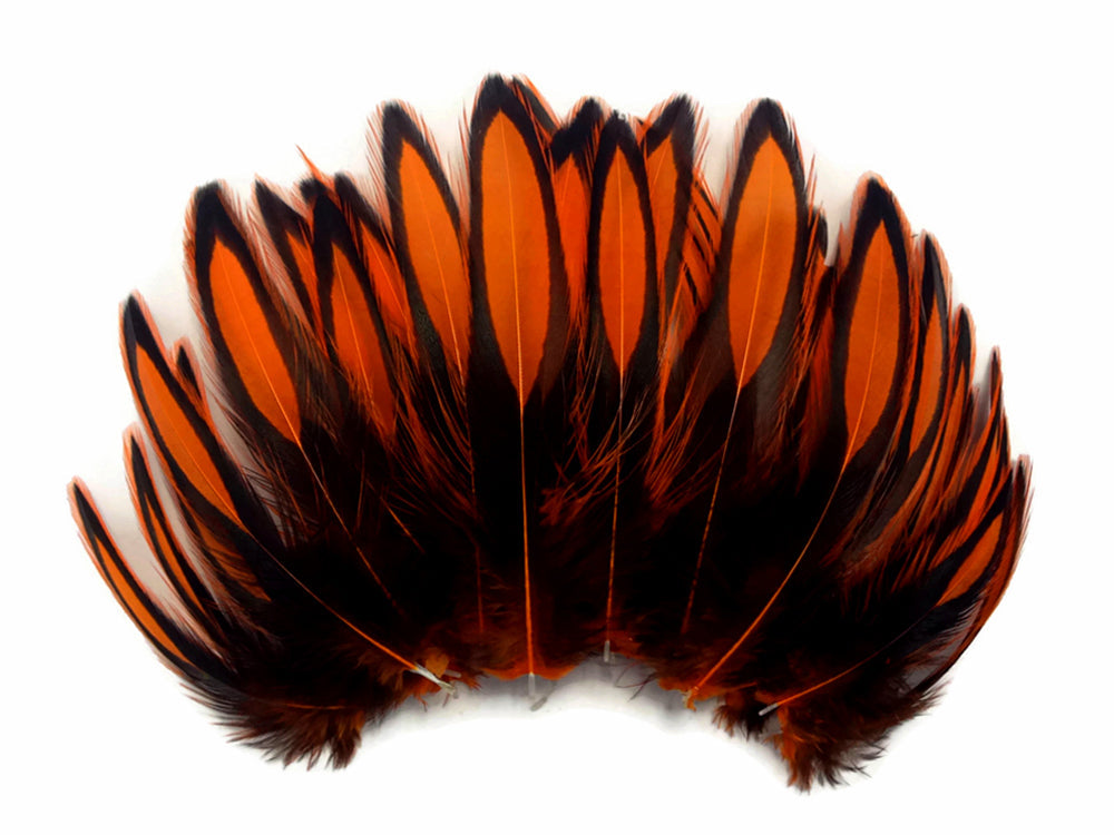 1 dozen - Orange Whiting Farms BLW Accent Feathers for Wedding Bouquets & Boutonnieres
