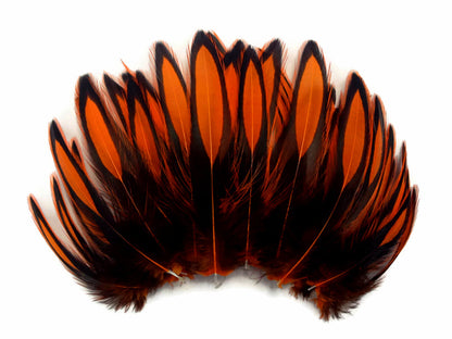 1 dozen - Orange Whiting Farms BLW Accent Feathers for Wedding Bouquets & Boutonnieres
