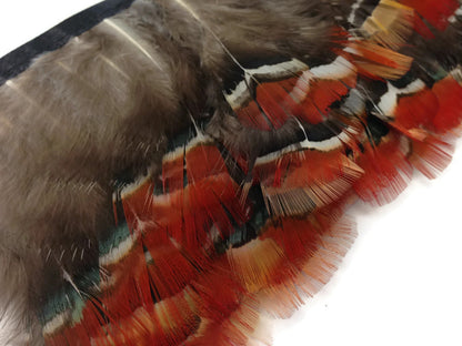 1 yard - Plum Red Lady Amherst Accent Feathers for Wedding Backdrops & Arches
