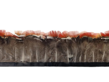 1 Yard - Red Lady Amherst Pheasant Plumage Feather Trim
