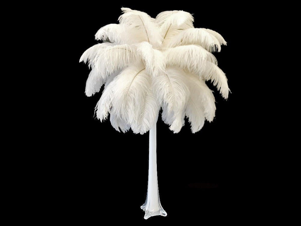 1/2 Lb. - 9-13" Off White Bleached Ostrich Body Drab Wholesale Feathers (Bulk)