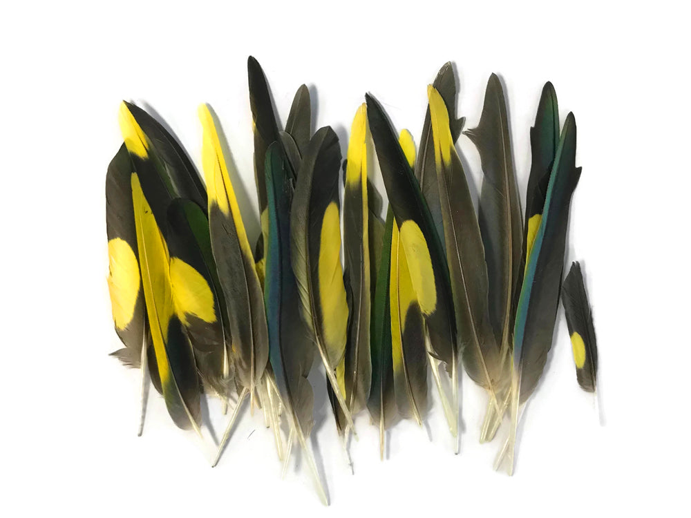 4 pieces - Yellow Brown Green Mix Accent Feathers for Wedding Centerpieces