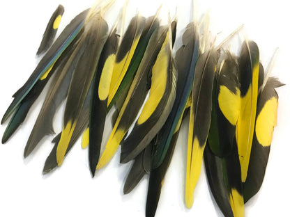 4 pieces - Yellow Brown Green Mix Accent Feathers for Wedding Centerpieces