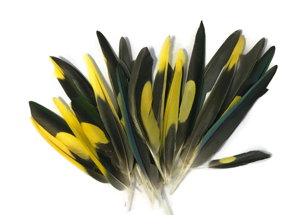 4 pieces - Yellow Brown Green Mix Accent Feathers for Wedding Centerpieces
