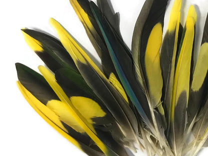 4 pieces - Yellow Brown Green Mix Accent Feathers for Wedding Centerpieces