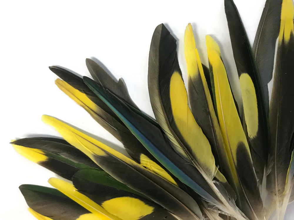 4 pieces - Yellow Brown Green Mix Accent Feathers for Wedding Centerpieces