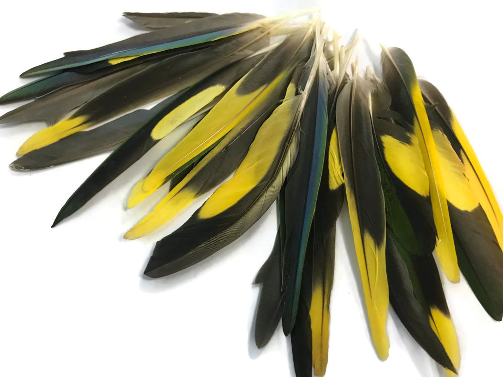 4 pieces - Yellow Brown Green Mix Accent Feathers for Wedding Centerpieces