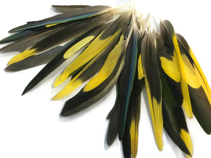 4 pieces - Yellow Brown Green Mix Accent Feathers for Wedding Centerpieces