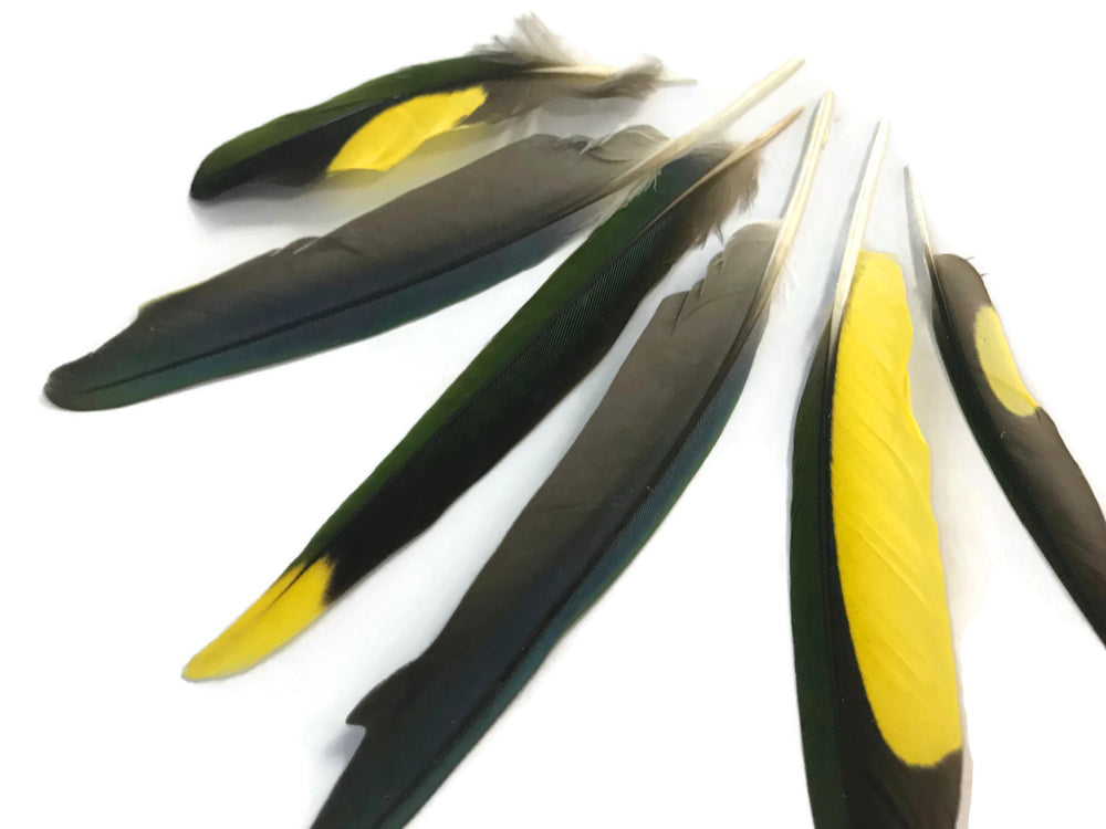 4 pieces - Yellow Brown Green Mix Accent Feathers for Wedding Centerpieces