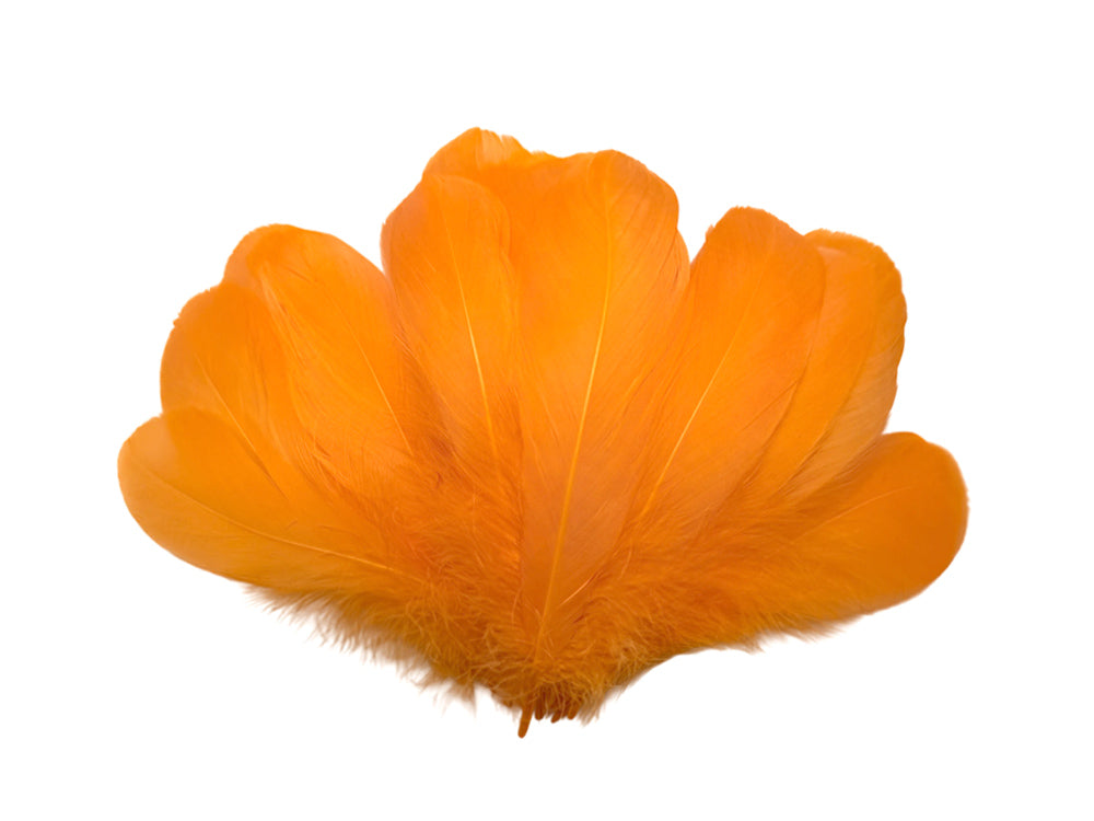 A quarter pound - Peach Nagoire Accent Feathers for Wedding Backdrops & Arches