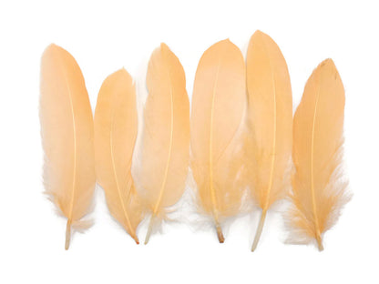 A quarter pound - Peach Satinettes Pallet Soft Accent Feathers for Wedding Backdrops & Arches