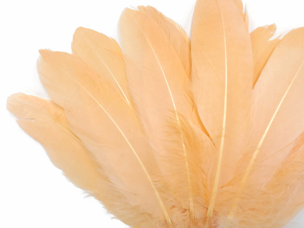 A quarter pound - Peach Satinettes Pallet Soft Accent Feathers for Wedding Backdrops & Arches