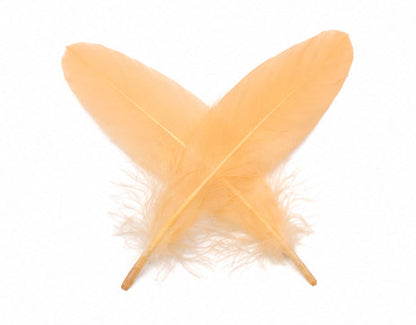 A quarter pound - Peach Satinettes Pallet Soft Accent Feathers for Wedding Backdrops & Arches