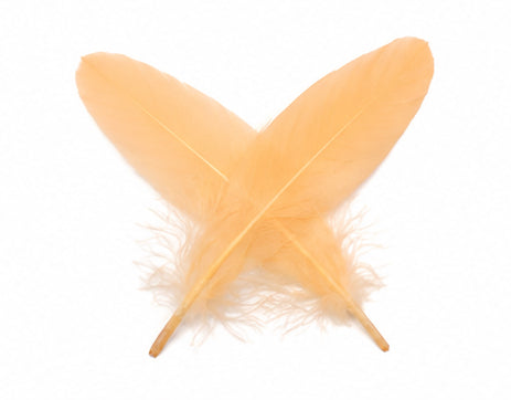 3 oz - Peach Pack Satinettes Pallet Accent Feathers for Wedding Bouquets & Boutonnieres