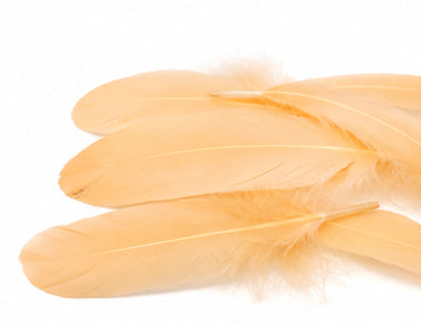 A quarter pound - Peach Satinettes Pallet Soft Accent Feathers for Wedding Backdrops & Arches