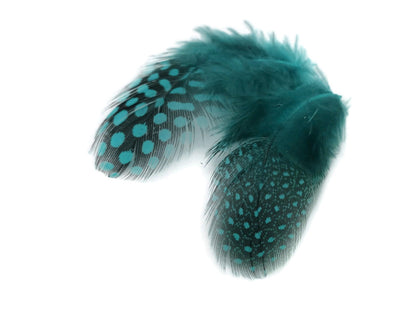 A quarter pound - Blue Guinea Hen Plumage Peacock Feathers for Wedding Backdrops & Arches