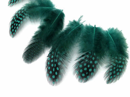 10 oz - Blue Pack Guinea Hen Peacock Feathers for Wedding Centerpieces