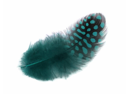 A quarter pound - Blue Guinea Hen Plumage Peacock Feathers for Wedding Backdrops & Arches