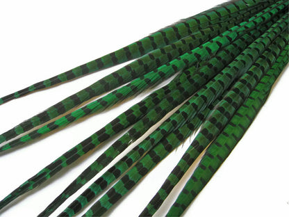 50 pieces - 18-22" Natural Green Dyed Over Peacock Feathers for Wedding Backdrops & Arches
