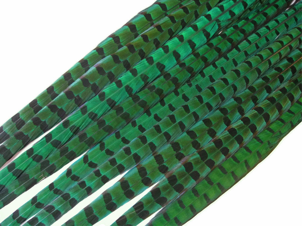 50 pieces - 18-22" Natural Green Dyed Over Peacock Feathers for Wedding Backdrops & Arches