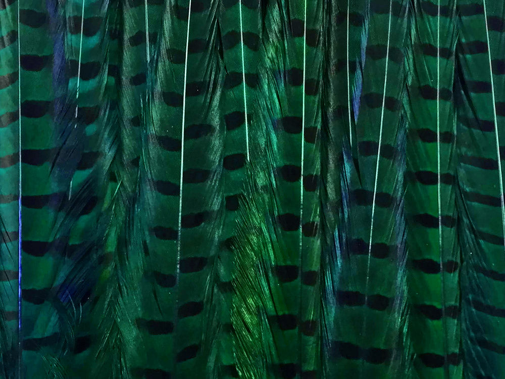 50 pieces - 18-22" Natural Green Dyed Over Peacock Feathers for Wedding Backdrops & Arches