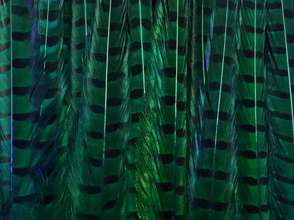 50 pieces - 18-22" Natural Green Dyed Over Peacock Feathers for Wedding Backdrops & Arches