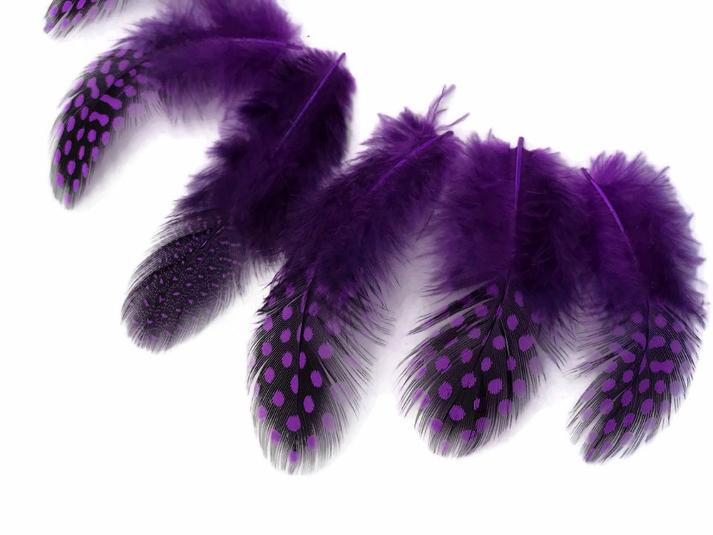 A quarter pound - Purple Hen Plumage Polka Accent Feathers for Wedding Backdrops & Arches