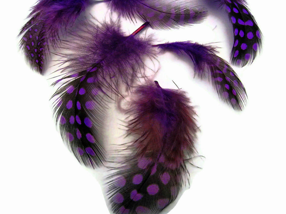 A quarter pound - Purple Hen Plumage Polka Accent Feathers for Wedding Backdrops & Arches