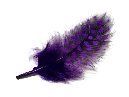 A quarter pound - Purple Hen Plumage Polka Accent Feathers for Wedding Backdrops & Arches